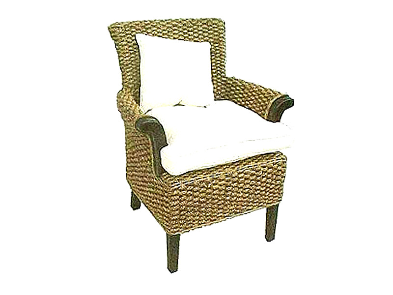 Brustin Wicker Arm Chair