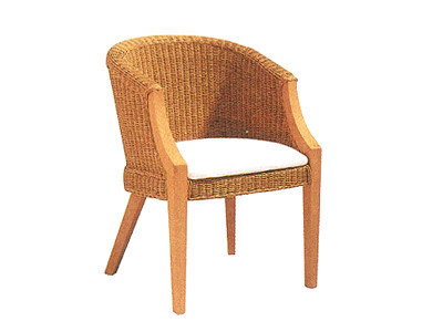 Scarlet Rattan Arm Chair