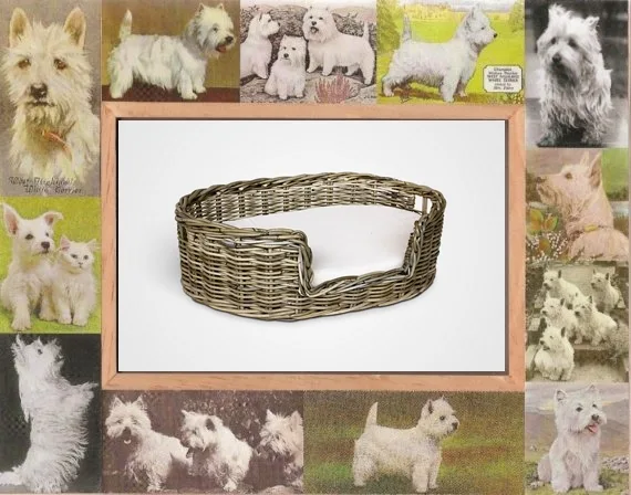 Friendly Natural Rattan Furniture for Your Pet