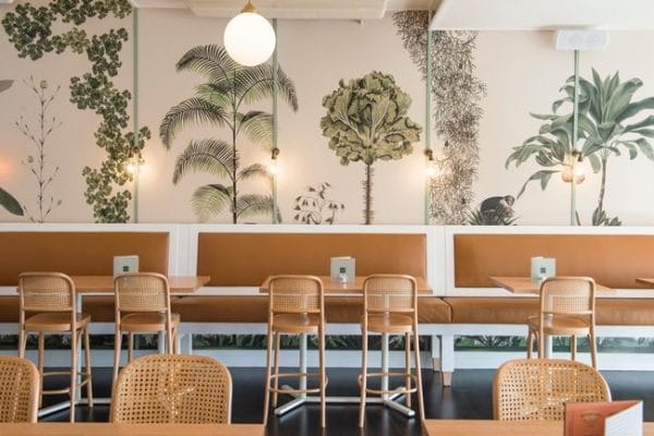 Rattan for Modern Cafe Why not