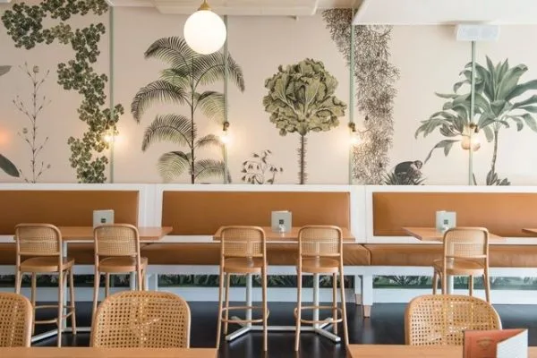 Rattan for Modern Cafe Why not