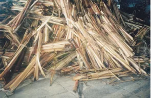 abaca sec