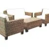 Erlina Wicker Living Set