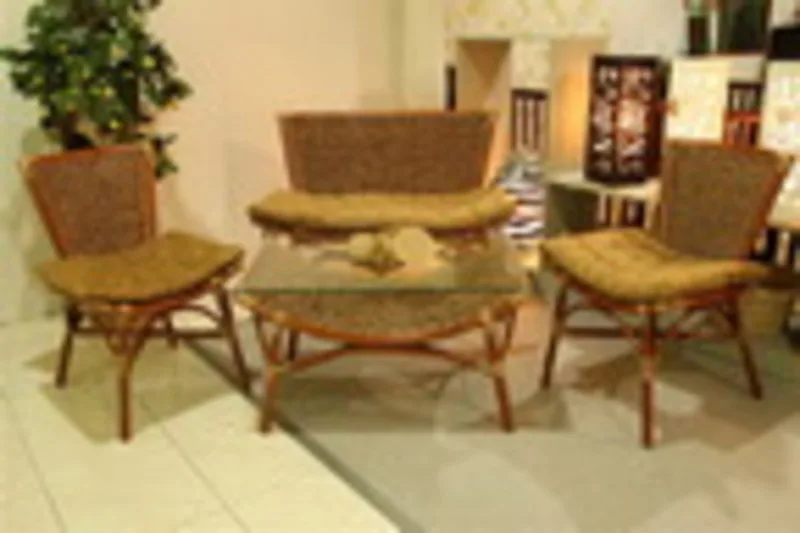 Wing Wicker Living Set