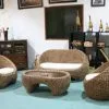 Champer Water Hyacinth Set