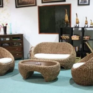 Champer Water Hyacinth Set