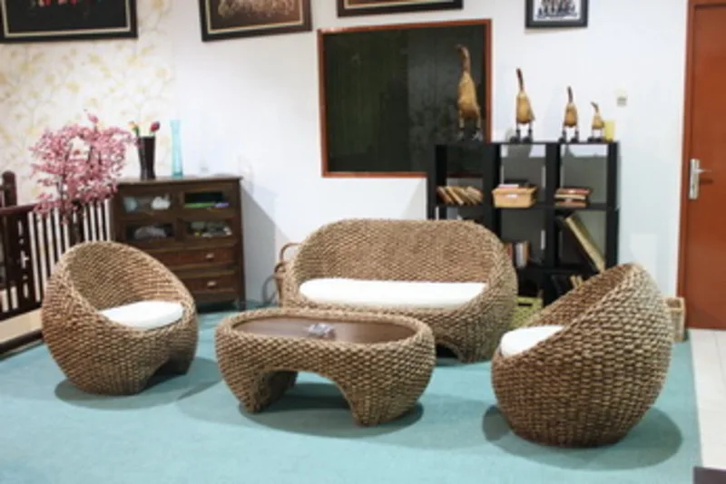 Champer Water Hyacinth Set