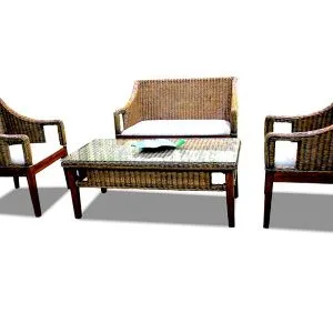 Michu Rattan Living Set