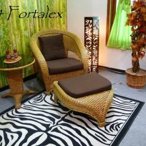 Fortalex Rattan Chair Set