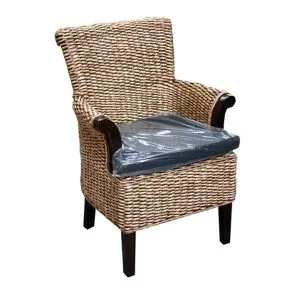 Brustin Banana Arm Chair