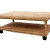 Selena Wicker Coffee Table