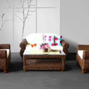 Wonder Wicker Living Set