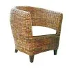 Gary Croco Rattan Arm Chair
