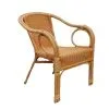 Montana Rattan Arm Chair