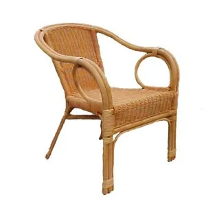 Montana Rattan Arm Chair