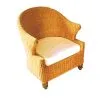 Tiara Rattan Arm Chair
