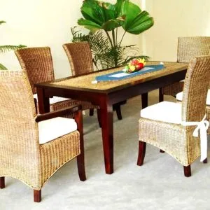 New Tropical DIning Set