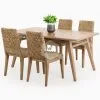 Bione Natural Fiber Dining Set