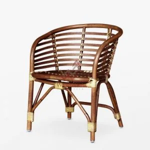 Bold Rattan Chair