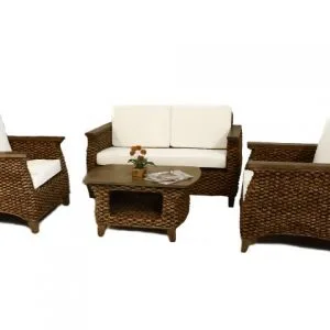 Neira Water Hyacinth Living Set