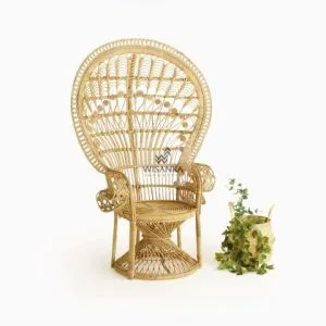 Peacock Rattan Arm Chair