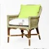 Springfil Rattan Chair
