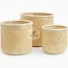 Fresia circa Bamboo Basket Set of 3