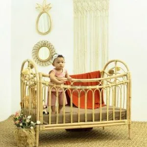 Rainbow Rattan Babysäng