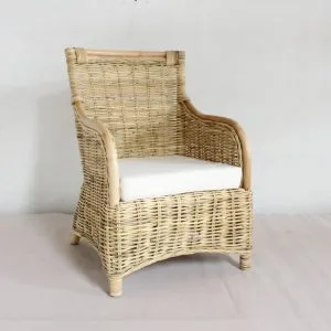 Nirina Rattan Arm Chair