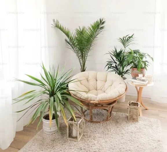 Furniture Trends 2024