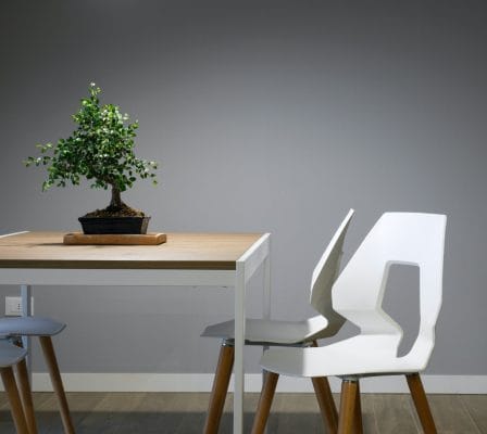Furniture Trends 2024 for Wholesaler and Retailer