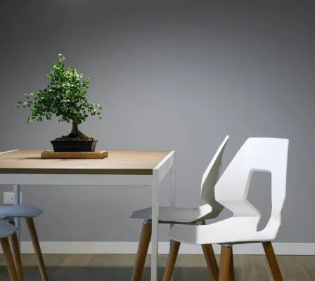 Furniture Trends 2024 for Wholesaler and Retailer
